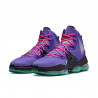 Nike LeBron XIX "DJ Bron" CZ0203-500