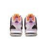 Nike LeBron IX Regal Pink/Velvet Brown/Biel/Multicolor DJ3908-600
