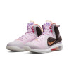 Nike LeBron IX Regal Pink/Velvet Brown/Biel/Multicolor DJ3908-600
